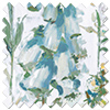 Cecelia, Blue Bird - Roller Blind